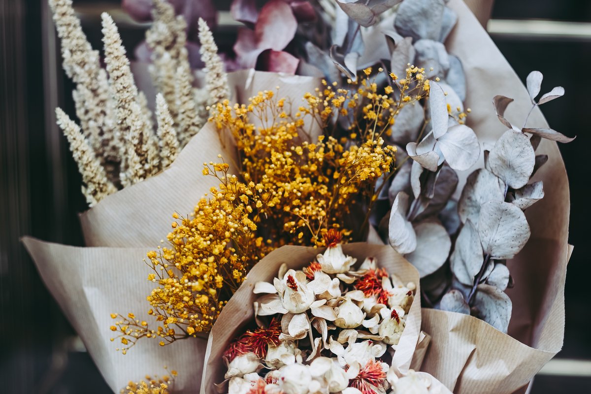 ドライフラワーの作り方 オススメの花5選 オシャレに楽しめる飾り方も紹介 ニフティニュース