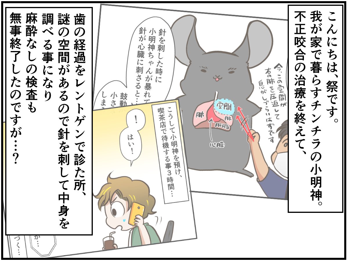 完治しない病気 に立ち向かう 少しでも長く一緒にいたいから チンチライフ60話 マンガ記事 チンチライフ Limo くらしとお金の経済メディア