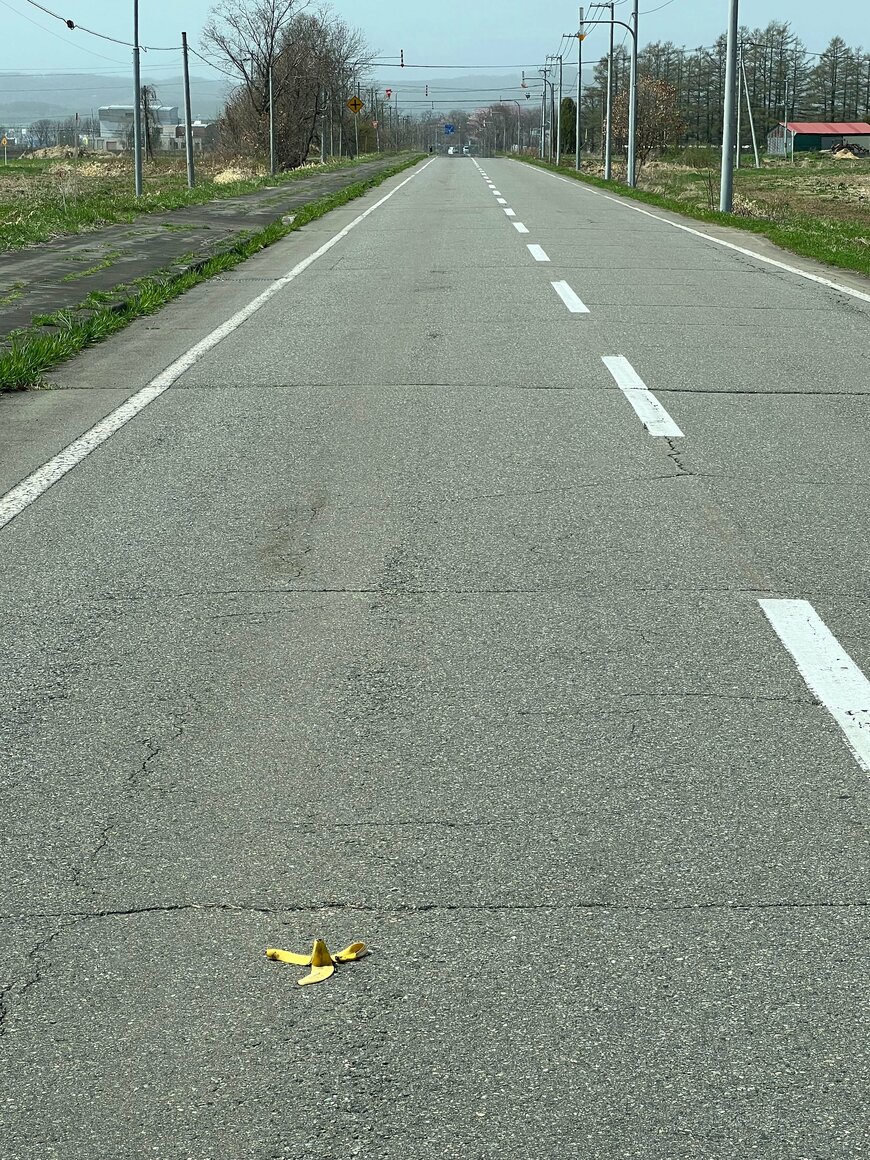 路上に捨てられたバナナの皮