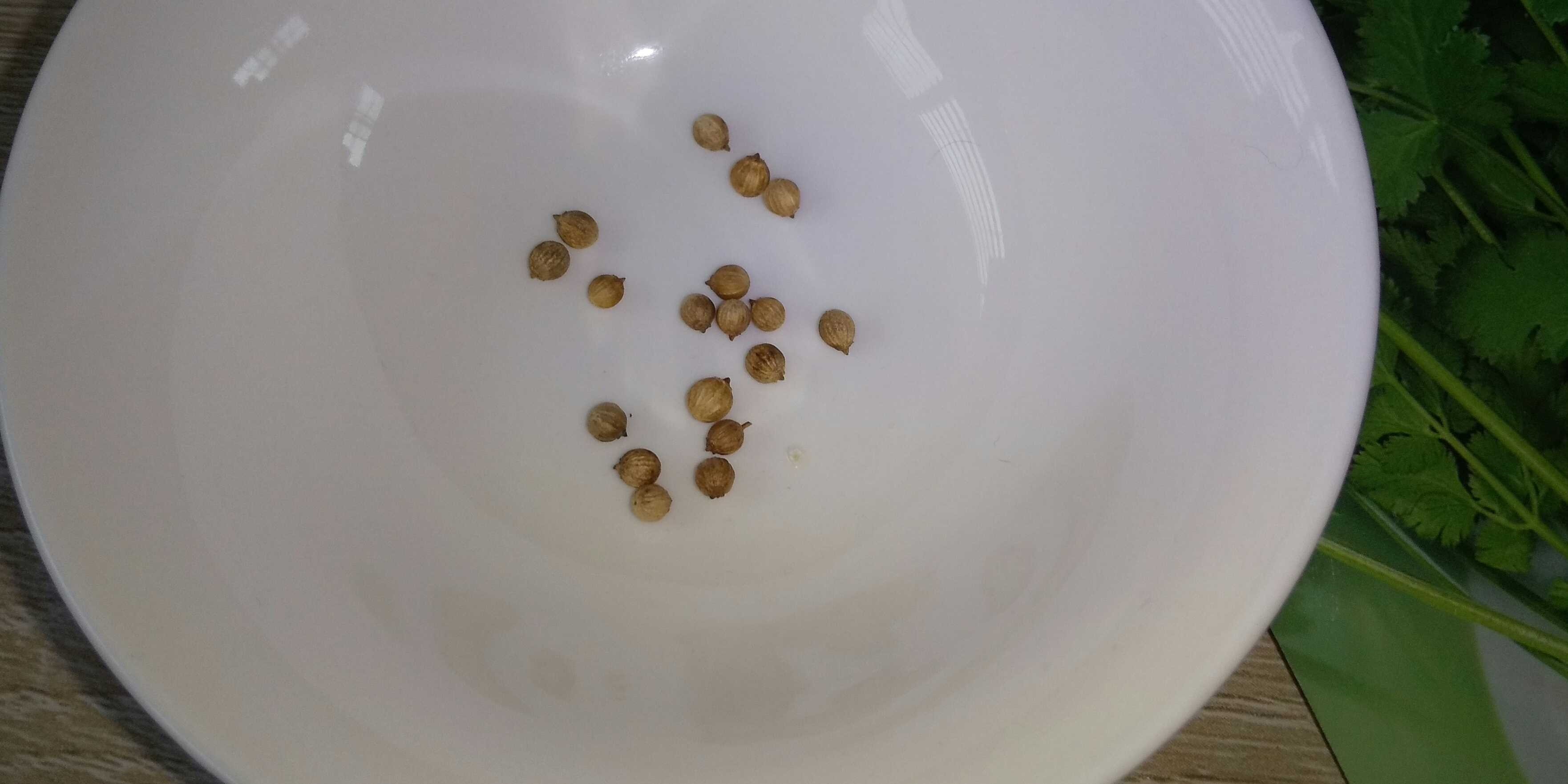 秋の家庭菜園 おすすめハーブ3選 室内で育てて収穫まで 3ページ目 Limo くらしとお金の経済メディア