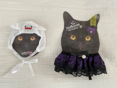 これで110円 セリア ハロウィン 犬猫用グッズ 高クオリティにsnsで話題 2ページ目 Limo くらしとお金の経済メディア これで110円 セリア ハロウィン 犬猫用グッズ 高クオリティにsnsで話題 2ページ目 Limo くらしとお金の経済メディア