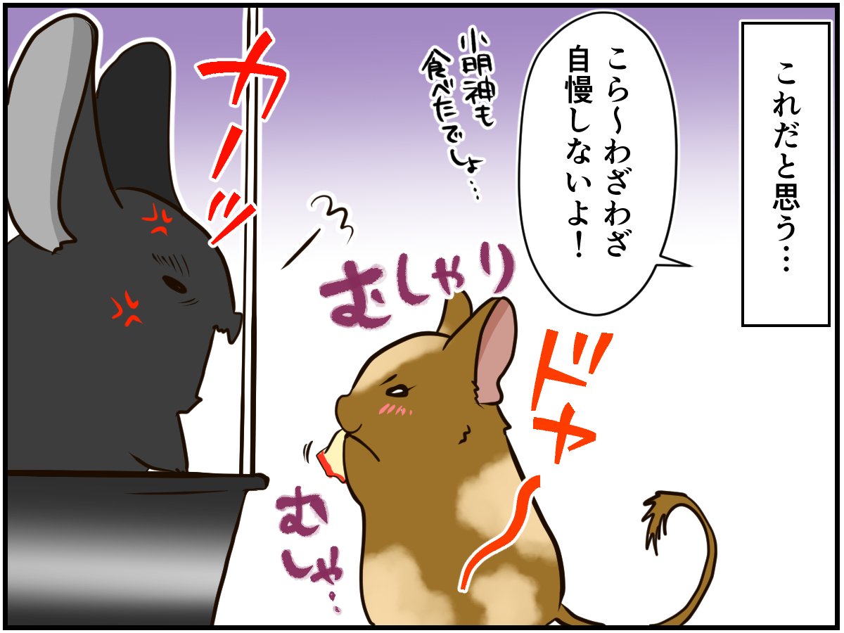 我が家のチンチラとデグーは共演ng その最大の理由はお散歩タイムにあった チンチライフ46話 マンガ記事 チンチライフ 3ページ目 Limo くらしとお金の経済メディア 我が家のチンチラとデグーは共演ng その最大の理由はお散歩タイムにあった チンチライフ46話 マンガ記事 チンチライフ 3ページ目 Limo くらしとお金の経済メディア