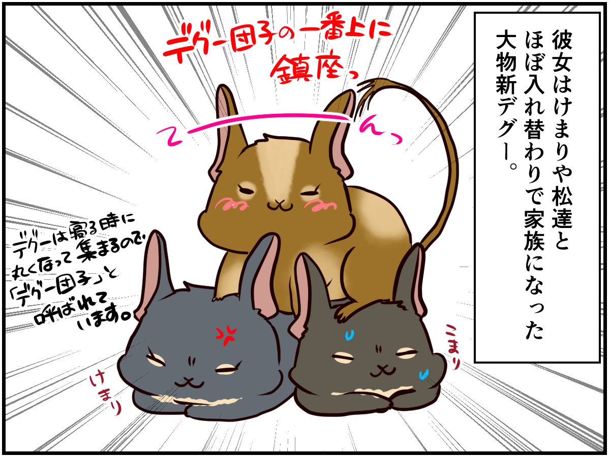 面白い呼び名をつけてしまうのは愛するからこそ テグーのてまりちゃんの場合 チンチライフ39話 マンガ記事 チンチライフ Limo くらしとお金の経済メディア 面白い呼び名をつけてしまうのは愛するからこそ テグーのてまりちゃんの場合 チンチライフ39話 マンガ記事 チンチライフ Limo くらしとお金の経済メディア