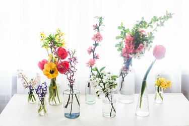 切り花を長持ちさせるコツ 上手な手入れで春の花を長く楽しもう 3ページ目 Limo くらしとお金の経済メディア