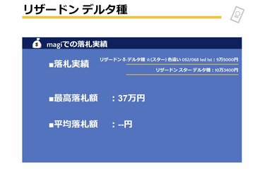 ポケモンカード買取】リザードン悪・初期カードは高く売れる？ 落札 ...