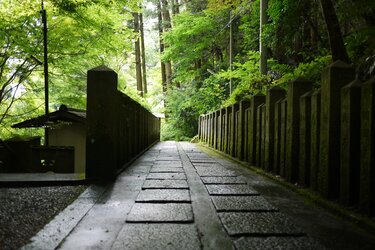 大阪観光 あえて梅雨に行きたい きれいな 自然に囲まれた 風情あるお寺パワースポットおすすめ5選 3ページ目 Limo くらしとお金の経済メディア