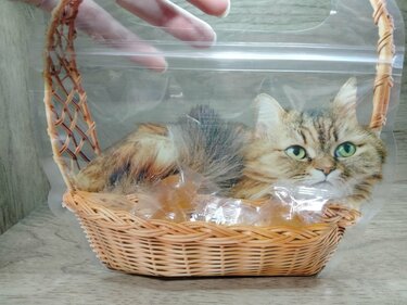 猫好き必見！ セリアの「猫のギフトバッグ」がリアルかわいい！ Seria