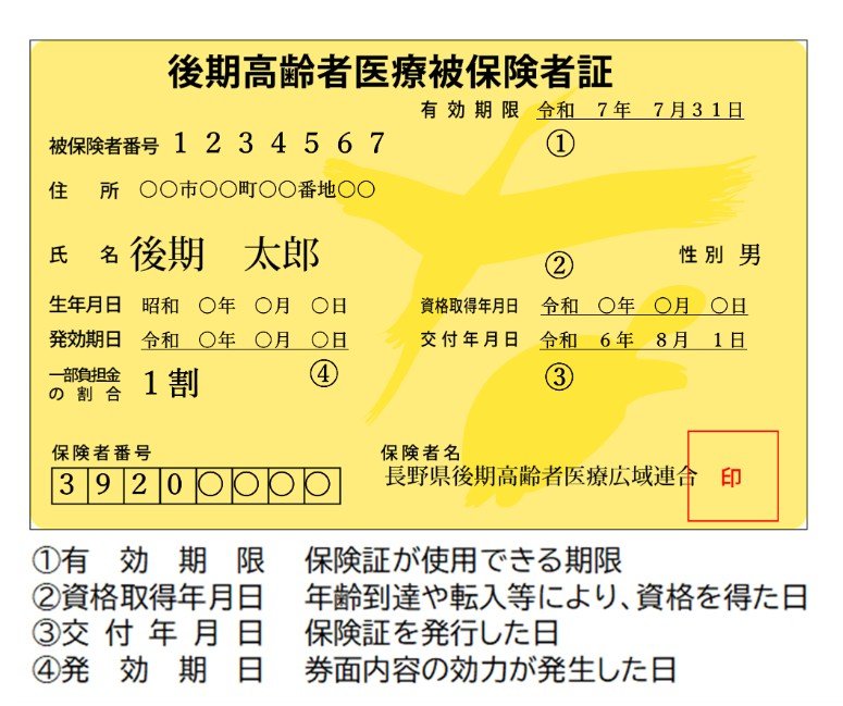 【保険証の見本】後期高齢者医療被保険者証（長野県）