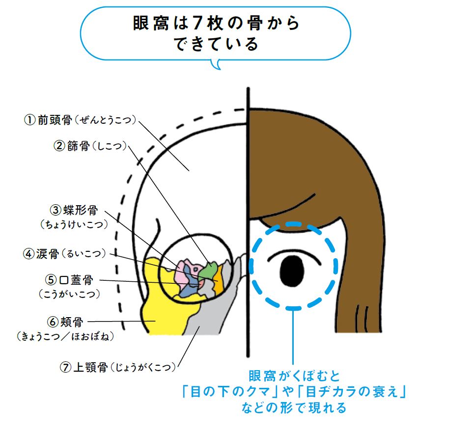 30代以上は要注意 老け顔 顔のシワ に潜む意外な危険性 Limo くらしとお金の経済メディア