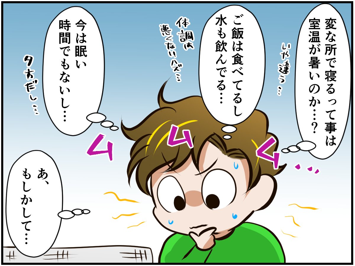 やきもち 新入りの登場に拗ねるチンチラベビーが可愛い チンチライフ86話 マンガ記事 チンチライフ Limo くらしとお金の経済メディア