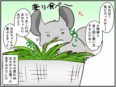 クセがすごい 父チンチラから息子へと受け継がれたもの チンチライフ95話 マンガ記事 チンチライフ 3ページ目 Limo くらしとお金の経済メディア