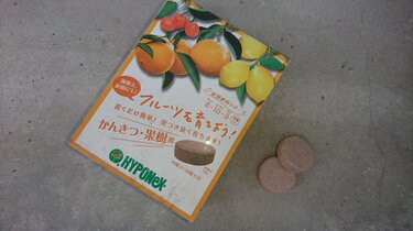 おすすめ観葉植物 レモンの木 ベランダでも室内でも もぎたて果実が手に入る ガーデニングアーカイブ21 9 4ページ目 Limo くらしとお金の経済メディア