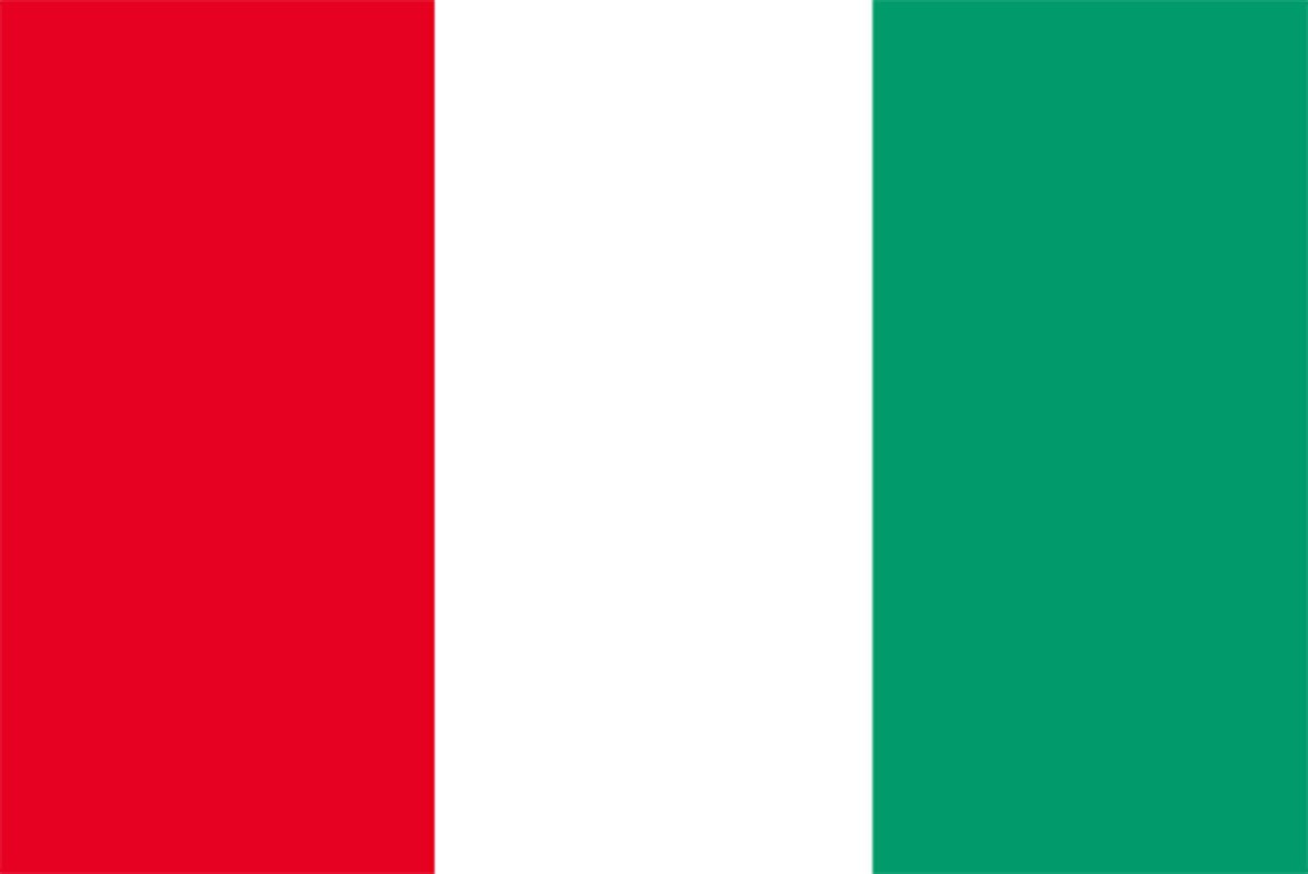 このイタリアの国旗 どこが まちがい かわかりますか ニフティニュース