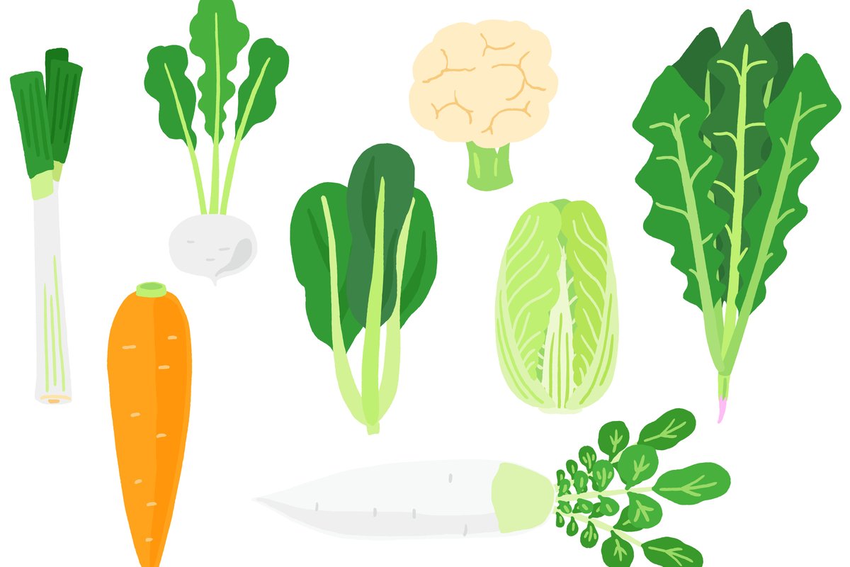 ベランダで家庭菜園にチャレンジ プランター栽培できるオススメ秋冬野菜 ニフティニュース