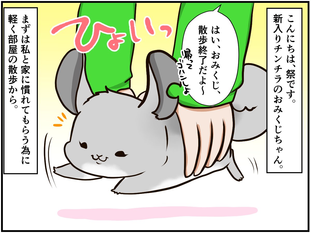 チンチラのメスは気が強い 新入りが見せる抵抗がすごい チンチライフ31話 マンガ記事 チンチライフ Limo くらしとお金の経済メディア