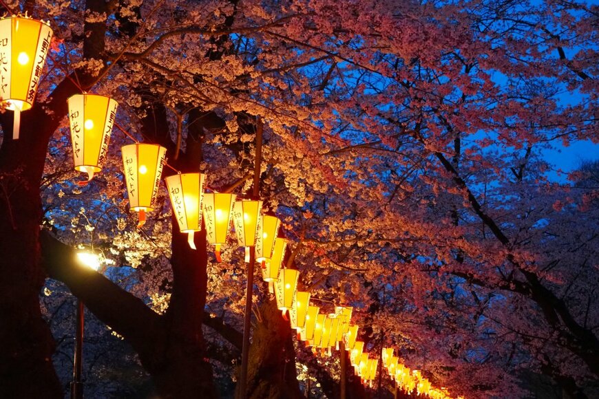【お花見】「日本三大夜桜」の名所は?ライトアップされた美しい夜桜を紹介 | 3ページ目 | LIMO | くらしとお金の経済メディア